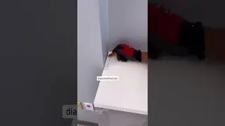 Tips
