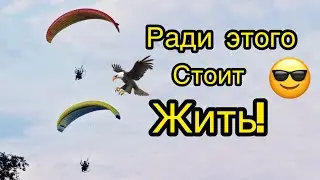 Ради Этого стоит Жить!