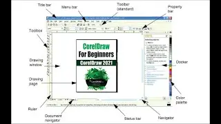 CorelDraw for Complete Beginner - CorelDraw Interface Explained