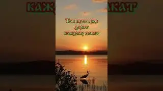 Пусть вечер будет душевным и спокойным. Доброго вечера! (27 июля) музыкальная открытка.