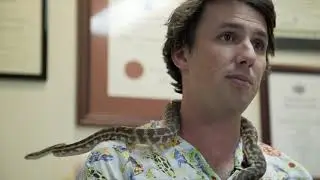 How To Administer An Injection To Your Snake