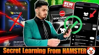 Hamster Kombat Secret Learning | No One Will Tell You This | Hamster Kombat Withdrawal RATS Kingdom