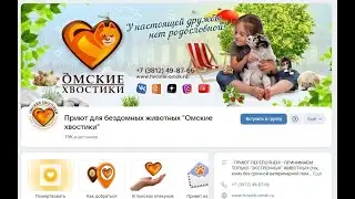 Помогите приюту для животных "ОМСКИЕ ХВОСТИКИ" СОБРАТЬ 399 ТЫСЯЧ РУБЛЕЙ ЗА 33 ДНЯ