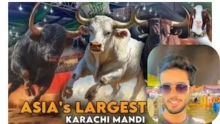 Bakra Mandi Vlog | Pakistan Ke Sab Se Bari Mandi | Blind Boy Vlog | Hafiz Muhammad Ali Vlog