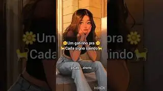 Um gatinho pra cada signo 😍🥰