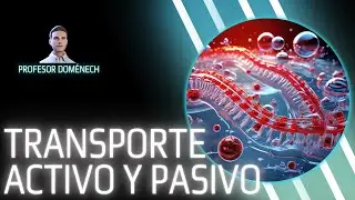 Los secretos del TRANSPORTE ACTIVO y PASIVO en bacterias