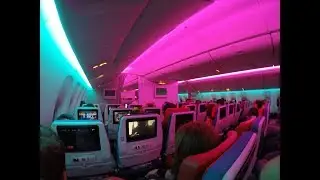 Turkish Airlines Boeing 777-300ER Economy Class Review + Business Class Meal Service