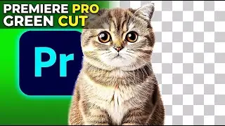 How to use Green Screen in Premiere Pro (EASY)