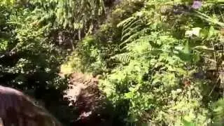 InterAm 2015 Oregon Trail #1 part 3
