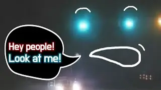 [DASHCAM] HEY! LOOK AT ME! I' M A TRAFFIC LIGHT