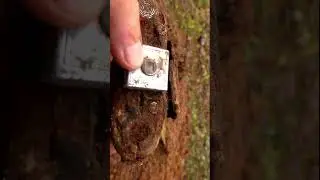 В его объективе замерла история. #photography #metaldetecting #film #ww2 #camera #art #фото