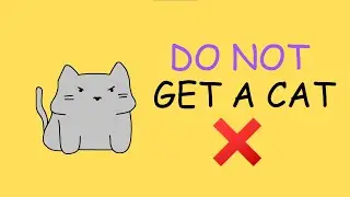 DO NOT GET A CAT... unless? | A Basic Guide to Getting a Cat