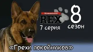 Комиссар Рекс, 8 сезон, 7 серия «Грехи покойников»