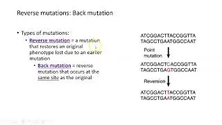 Mutations, Part 1