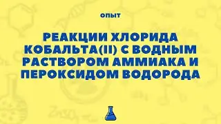 Реакции хлорида кобальта(II) с водным раствором аммиака и пероксидом водорода. Опыты по химии