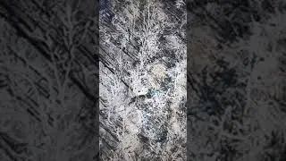 Підрив б/к хробаків в околицях Бахмута від Мадяра