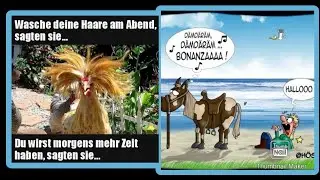 🤪🤣Wir gehen lachend in den Dienstag...der wird lustig. 🤣😂