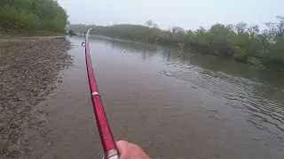 Cherry Salmon Fishing / Sima Fishing