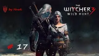 Прохождение Ведьмак 3: Дикая Охота (Witcher 3: Wild Hunt) #17 Защитник Веры. Гаргулья. Велен.