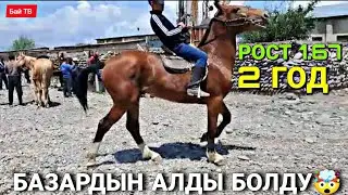 ӨЗГӨН БАЗАРЫНДА 420 МИҢГЕ САТЫЛБАДЫ 🤯 