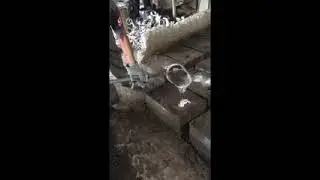 Artisan Citrus Juicer - Mexico