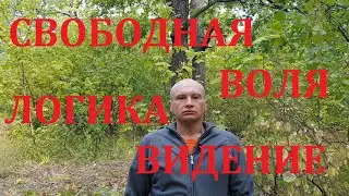 Свободная воля. Логика, видение. Ответ на вопрос подписчика. 17.08.2020