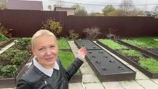 Осенние работы#🍁🍂Обрезаю розы, освободила теплицу#Сажаем, пересаживаем…#🌲13октября2024#дача#garden#