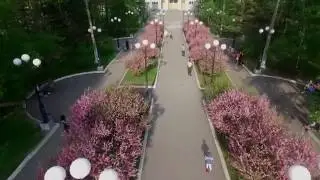 Песня про мой город. ( не мое, украл)