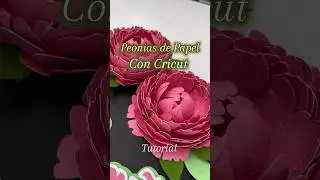 Lindas Flores de Papel con #Cricut #tutorial