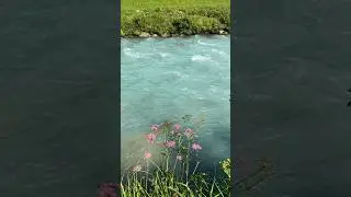 Switzerland! 🇨🇭 The Alps! Shattenhalb! / Местные красОты! 10.07.2023 