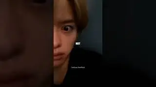 How stays are completely traumatized now... 