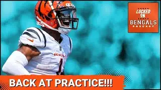 Ja'Marr Chase Returns + Cincinnati Bengals 53-man Roster Projection!