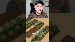 Try this Sims 4 challenge!  