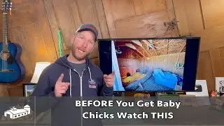 BEFORE You Get Baby Chicks Watch THIS