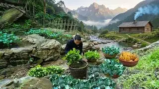 Leaving the city to live alone in the forest: Building a Log Cabin, gardening, raising livestock.