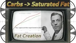 Carbohydrate consumption produces the LEAST healthy saturated fat in your liver