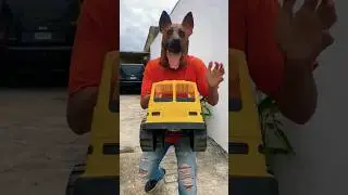 Perdí mi Camión😳🚚💥 