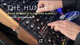 'The Hunted' - The Moogs are back!  Mother 32 & Strymon blueSky