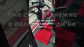 3 августа 2023 г.