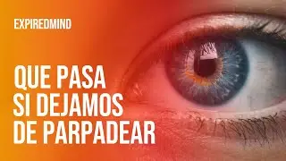 ¿Que pasaría si DEJÁRAMOS DE PARPADEAR?