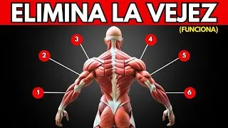Fisio Revela: 5 Ejercicios Respaldados por la Ciencia que Revierten el Envejecimiento