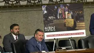 Senator Cruz BLASTS Antisemitic Protestor In Senate Judiciary Hearing