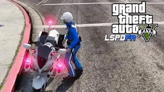 【LSPDFR日本警察】霊夢警部補のパトロール日記　＃特別編