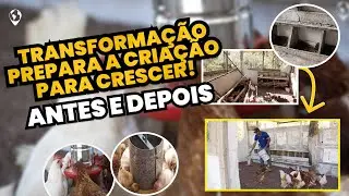 Antes e Depois: Ele ERRAVA TUDO, veja a mudança em sua PRODUÇÃO DE OVOS CAIPIRAS