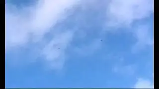 Архив  Посадка