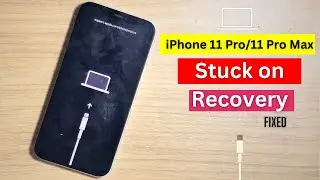 iPhone 11 Pro/11 Pro Max Stuck on Recovery fixed 2024.