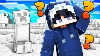 Minecraft, aber OHNE TEXTUREN...
