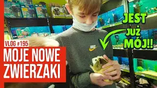 MOJE NOWE ZWIERZAKI - JUŻ SA MOJE / VLOG 