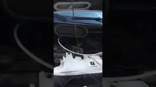FORD TRANSİT  Araç üzerinden partikül ve Katalizatör temizliği Erzincan  Kadir Mercan