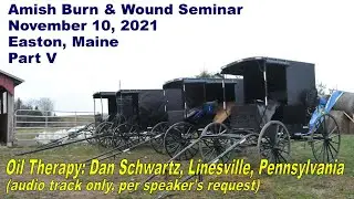Amish Burn & Wound Seminar, Part V: Oil Therapy *AUDIO ONLY* Dan Schwartz, Linesville, Pennsylvania